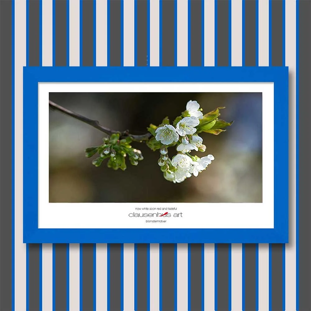 now-white-soon-red-and-tasteful-copy.jpg