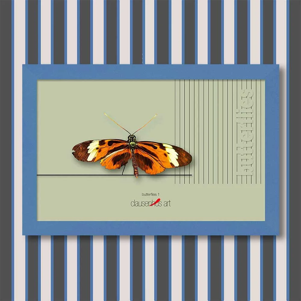 butterflies-1-copy.jpg