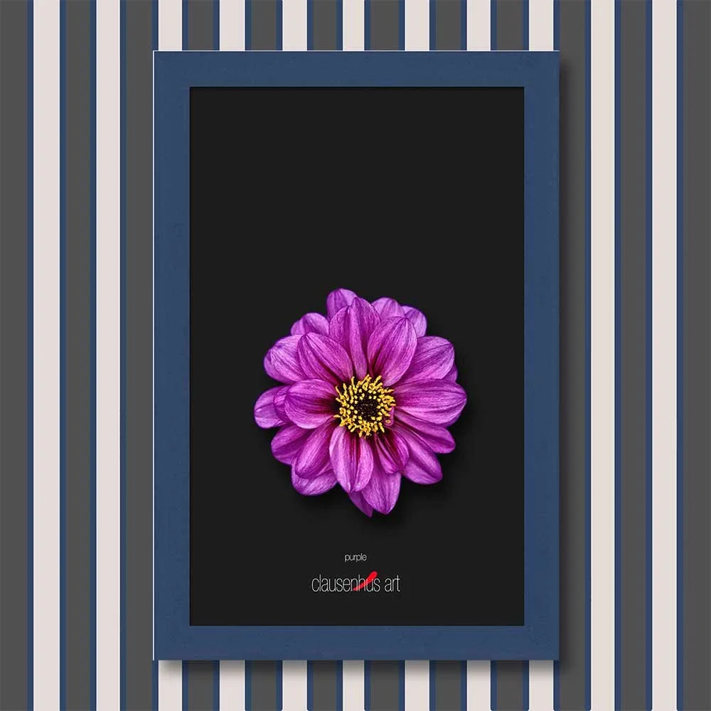 purple-copy.jpg