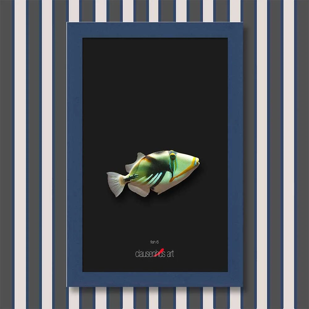 fish-6-copy.jpg
