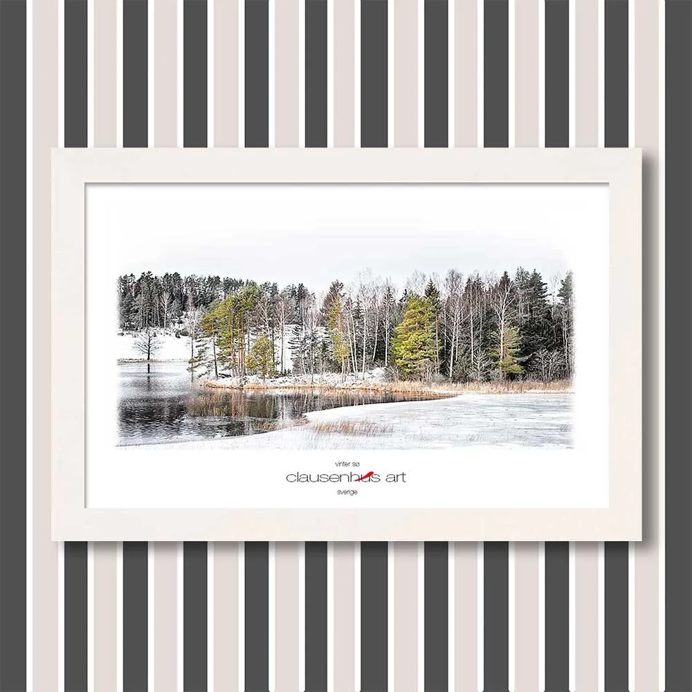 vinter-sø-copy.jpg