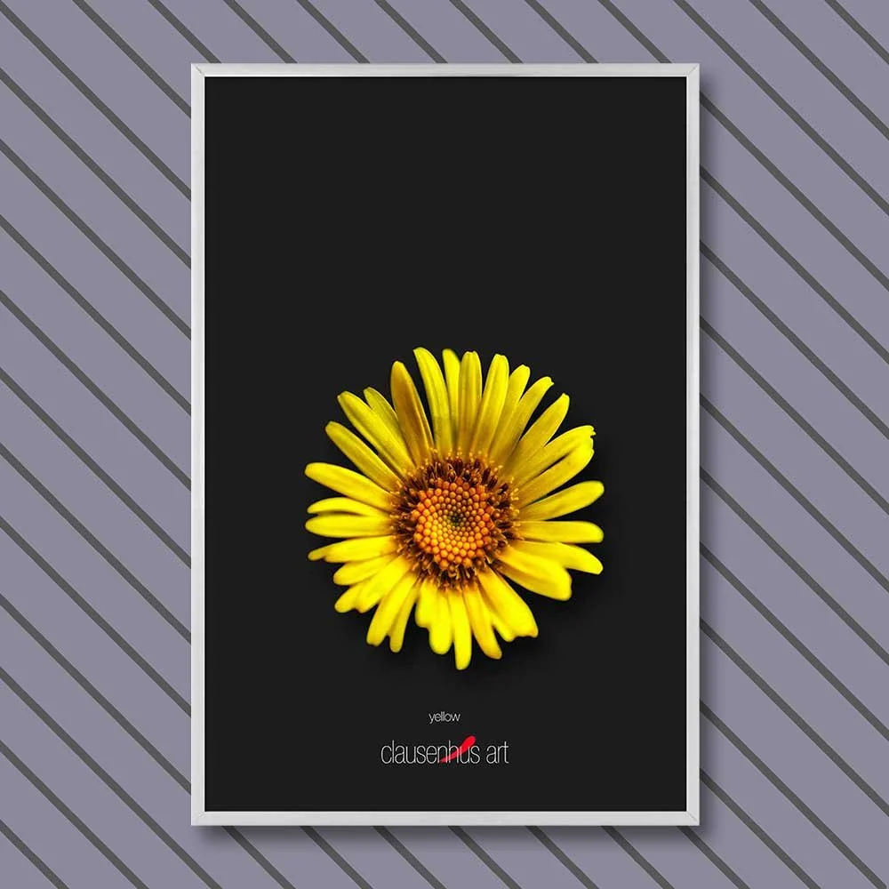 yellow-copy.jpg