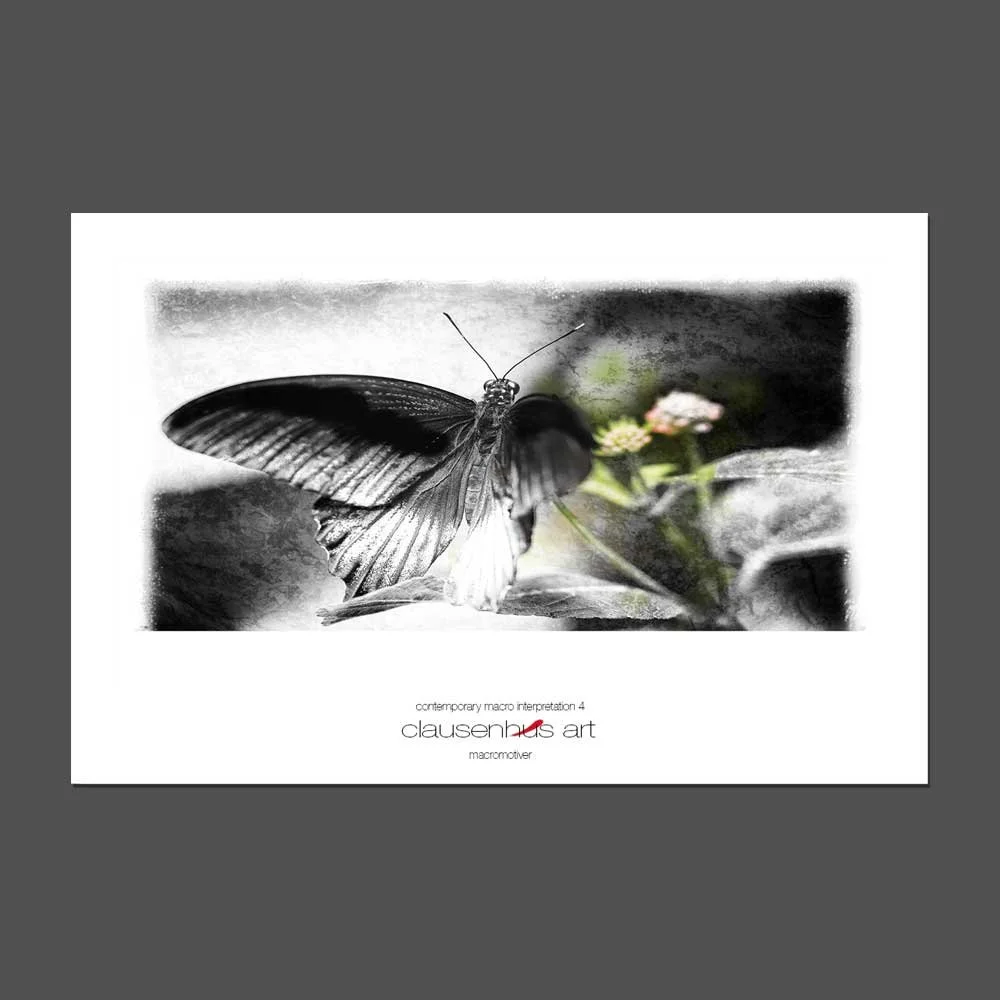contemporary-macro-interpretation-4.jpg