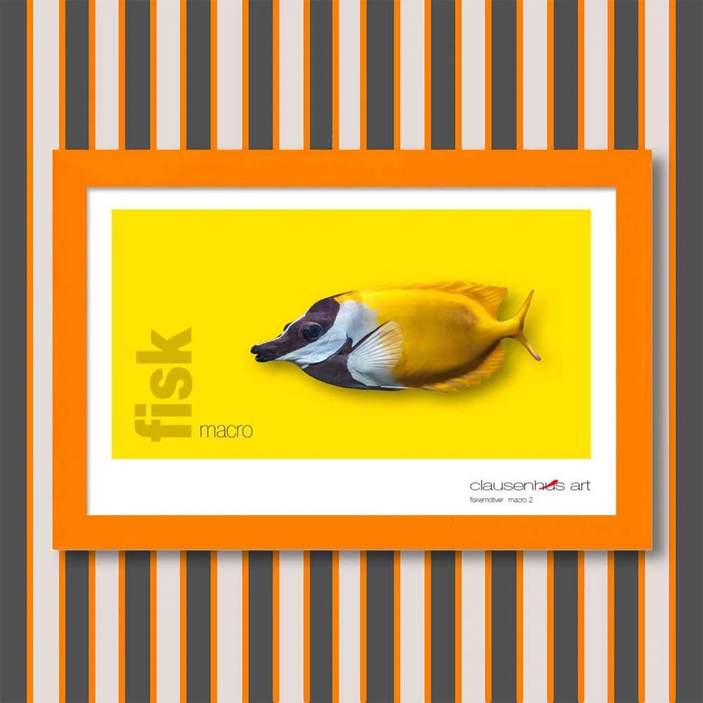 fiskemotiv-2-copy.jpg