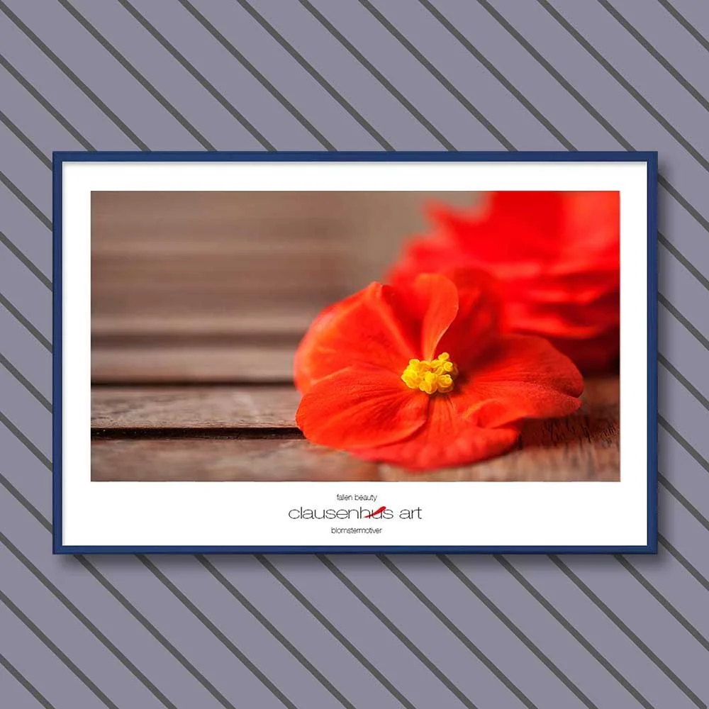 fallen-beauty-copy.jpg