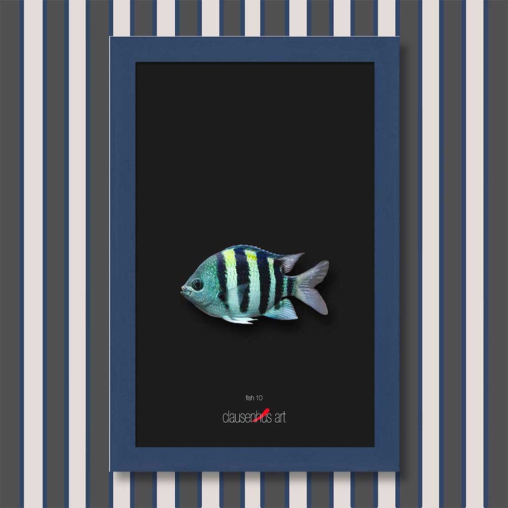 fish-10-copy.jpg