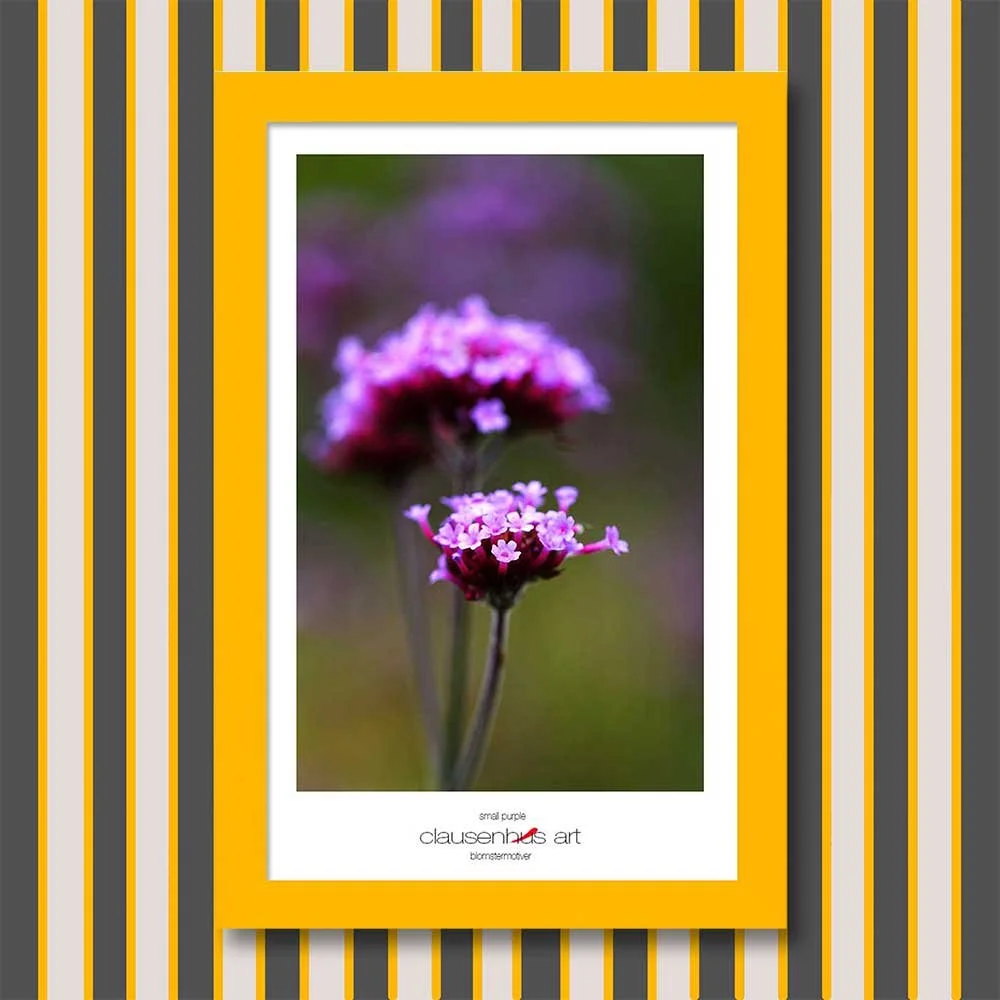 small-purple-copy.jpg