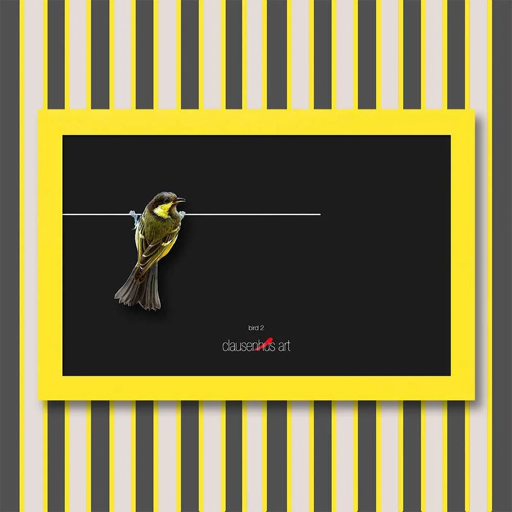 bird-2-copy.jpg