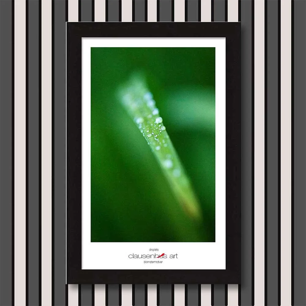 droplets-copy.jpg