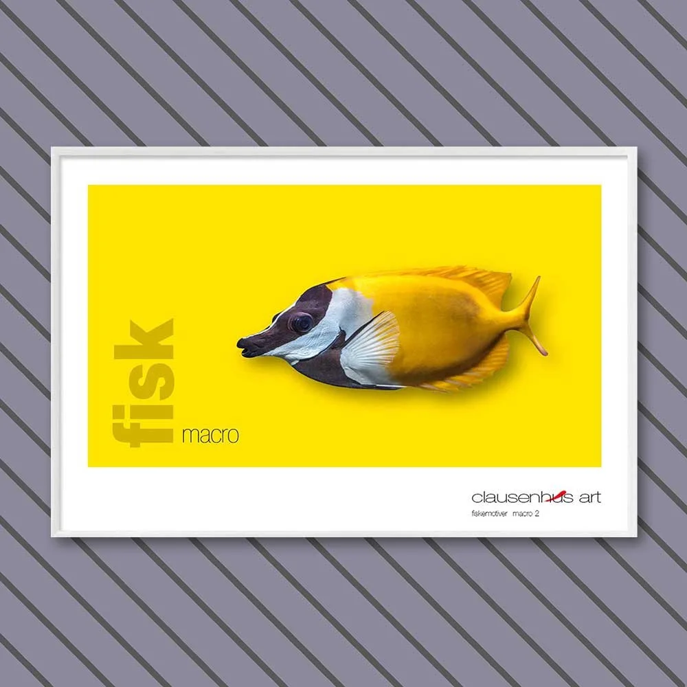 fiskemotiv-2-copy.jpg