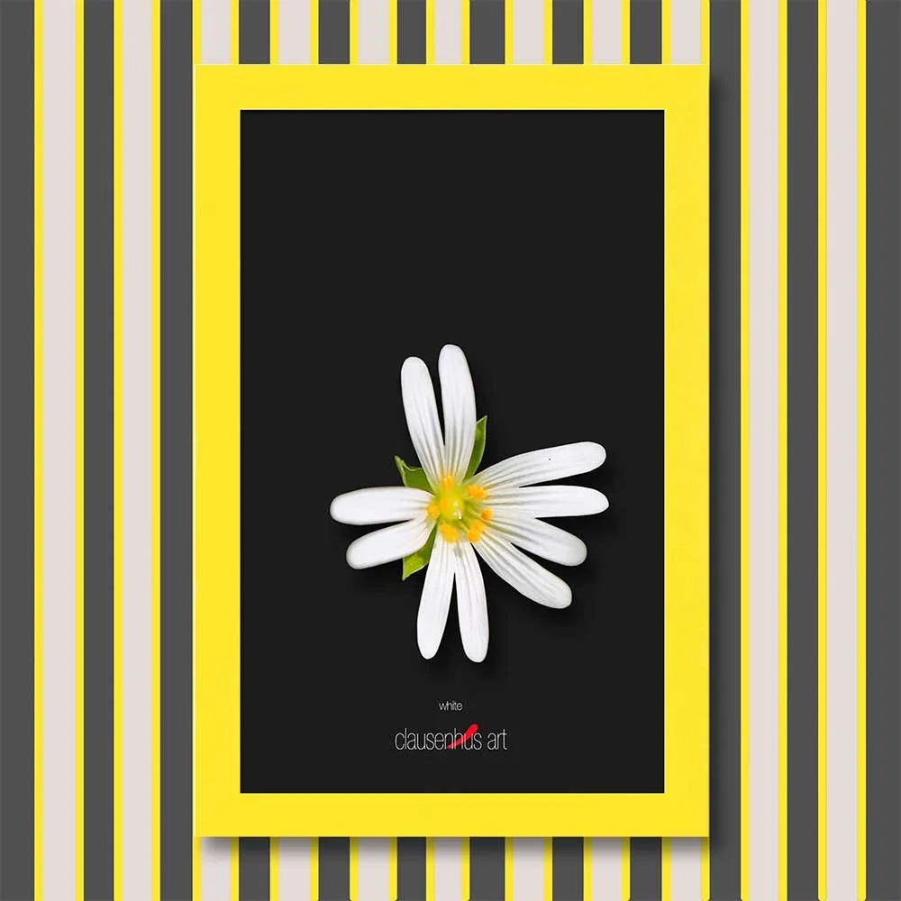 white-copy.jpg