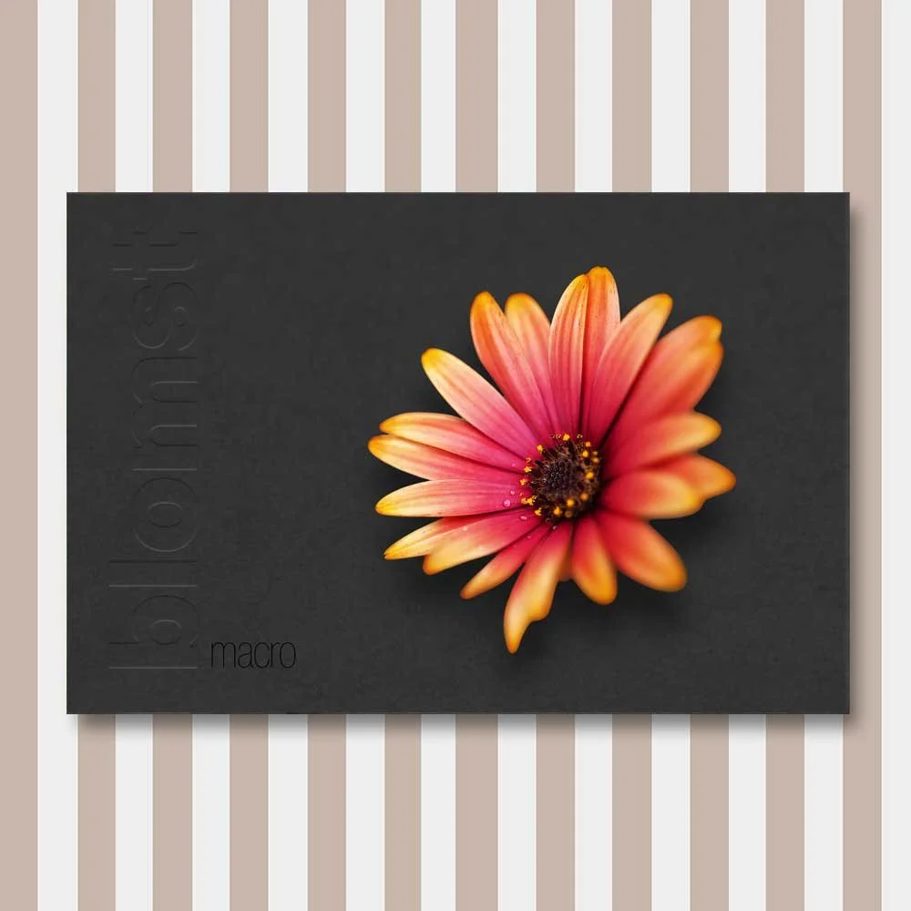 blomst-9.jpg