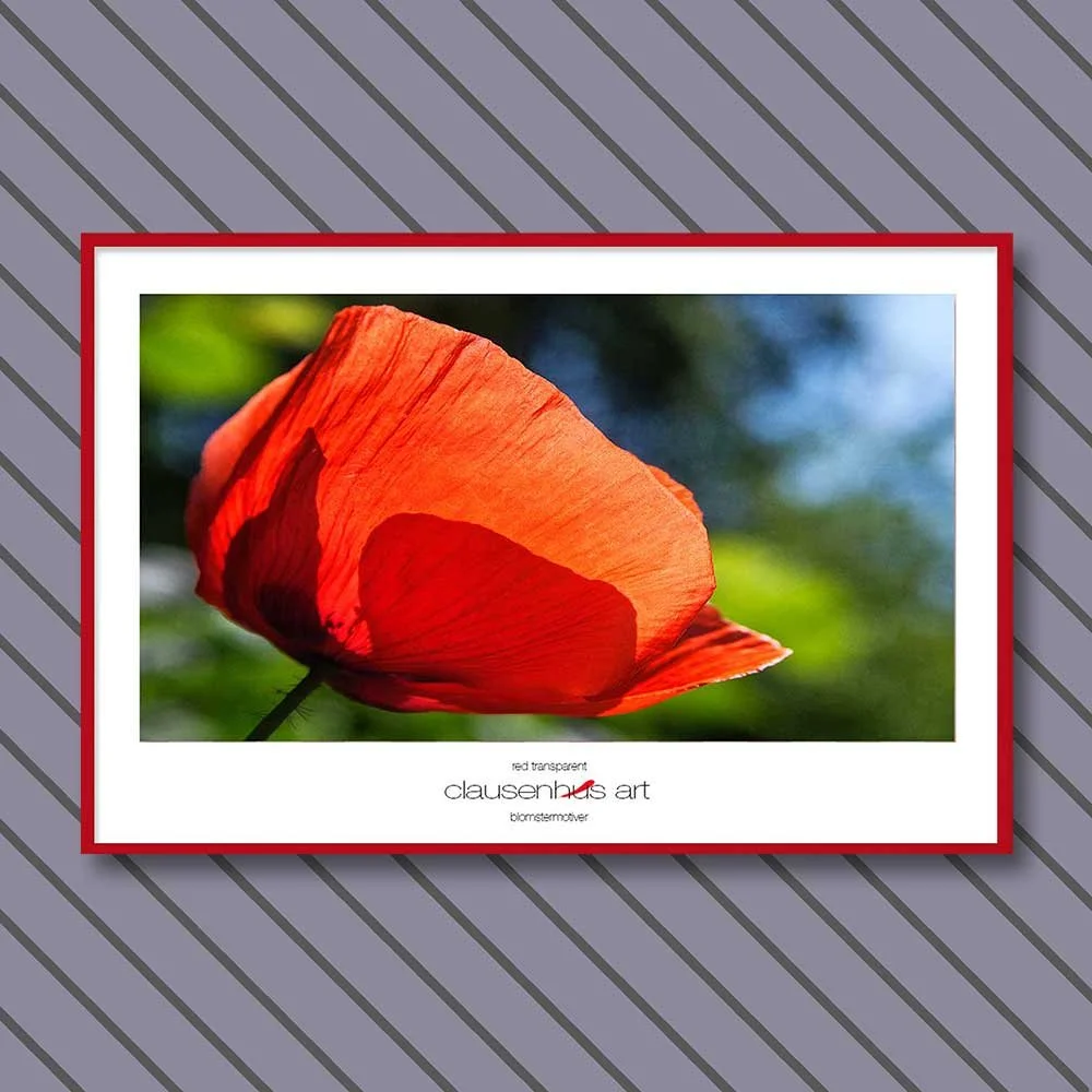 red-transparent-copy.jpg
