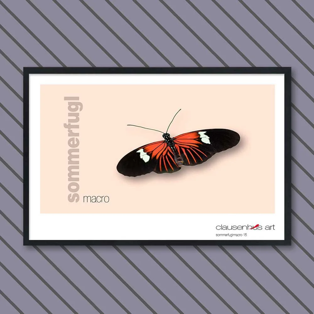 sommerfugl-15-copy.jpg