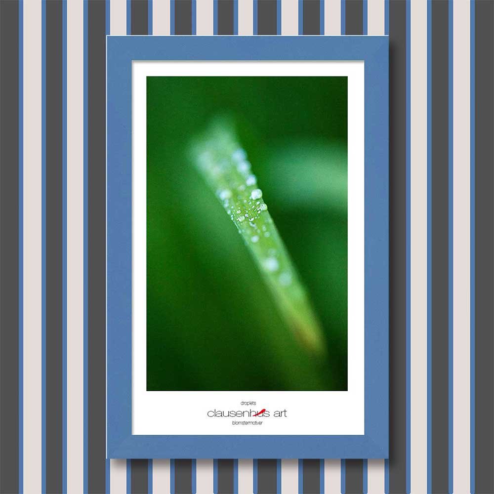 droplets-copy.jpg