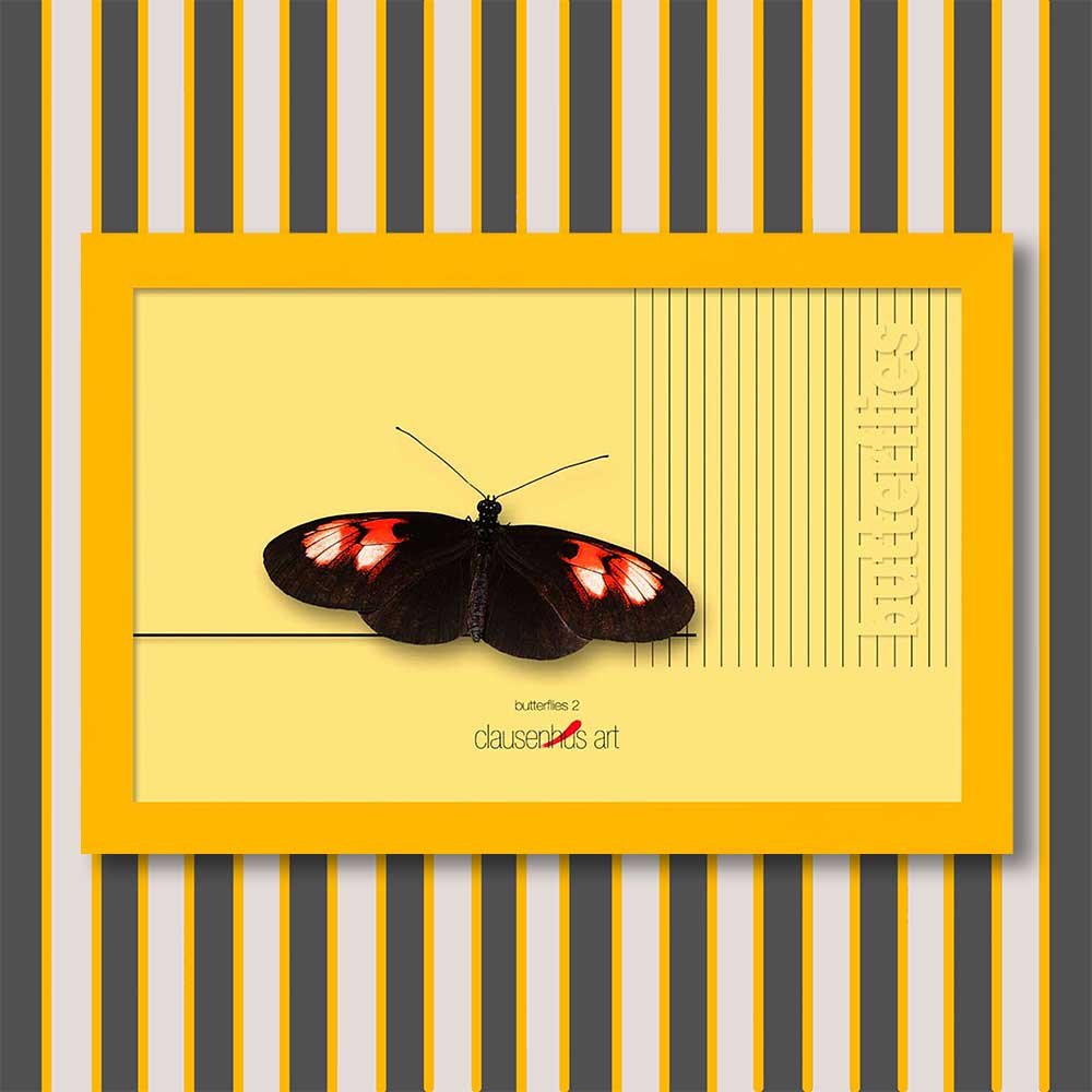 butterflies-2-copy.jpg