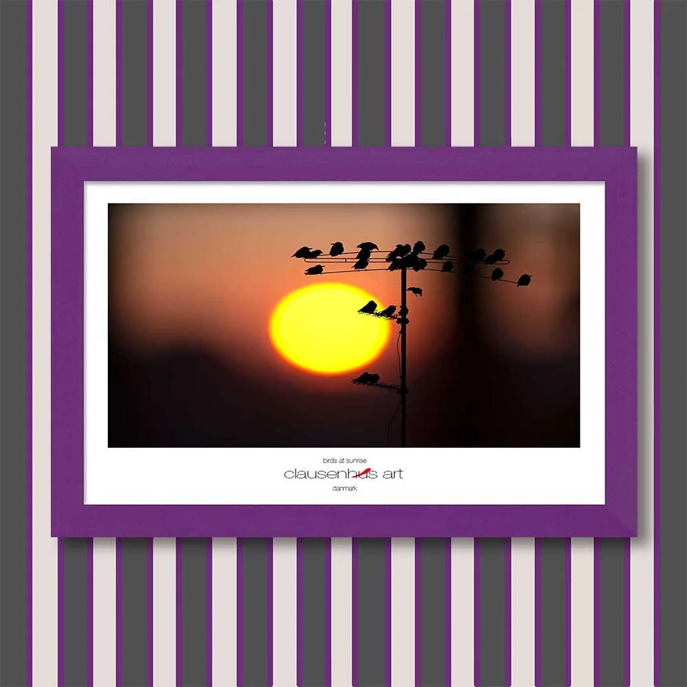 birds-at-sunrise-copy.jpg