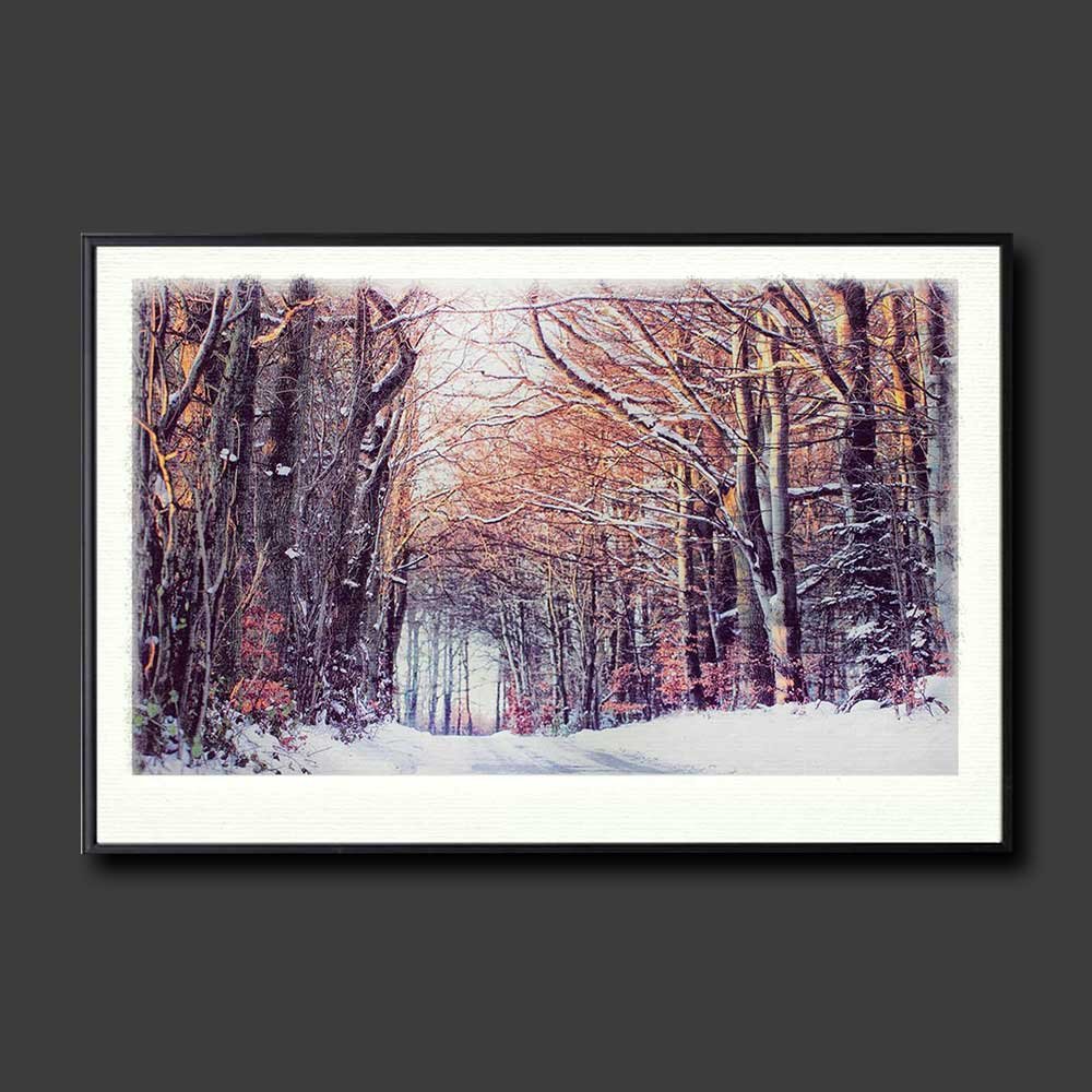 winter-forest-copy.jpg