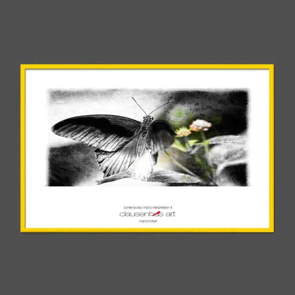 contemporary-macro-interpretation-4-copy.jpg