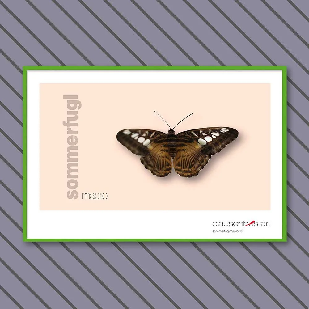 sommerfugl-13-copy.jpg