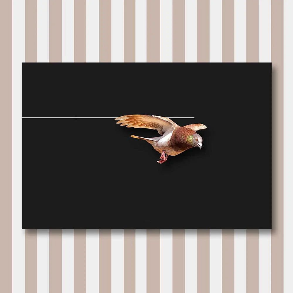 bird 5.jpg