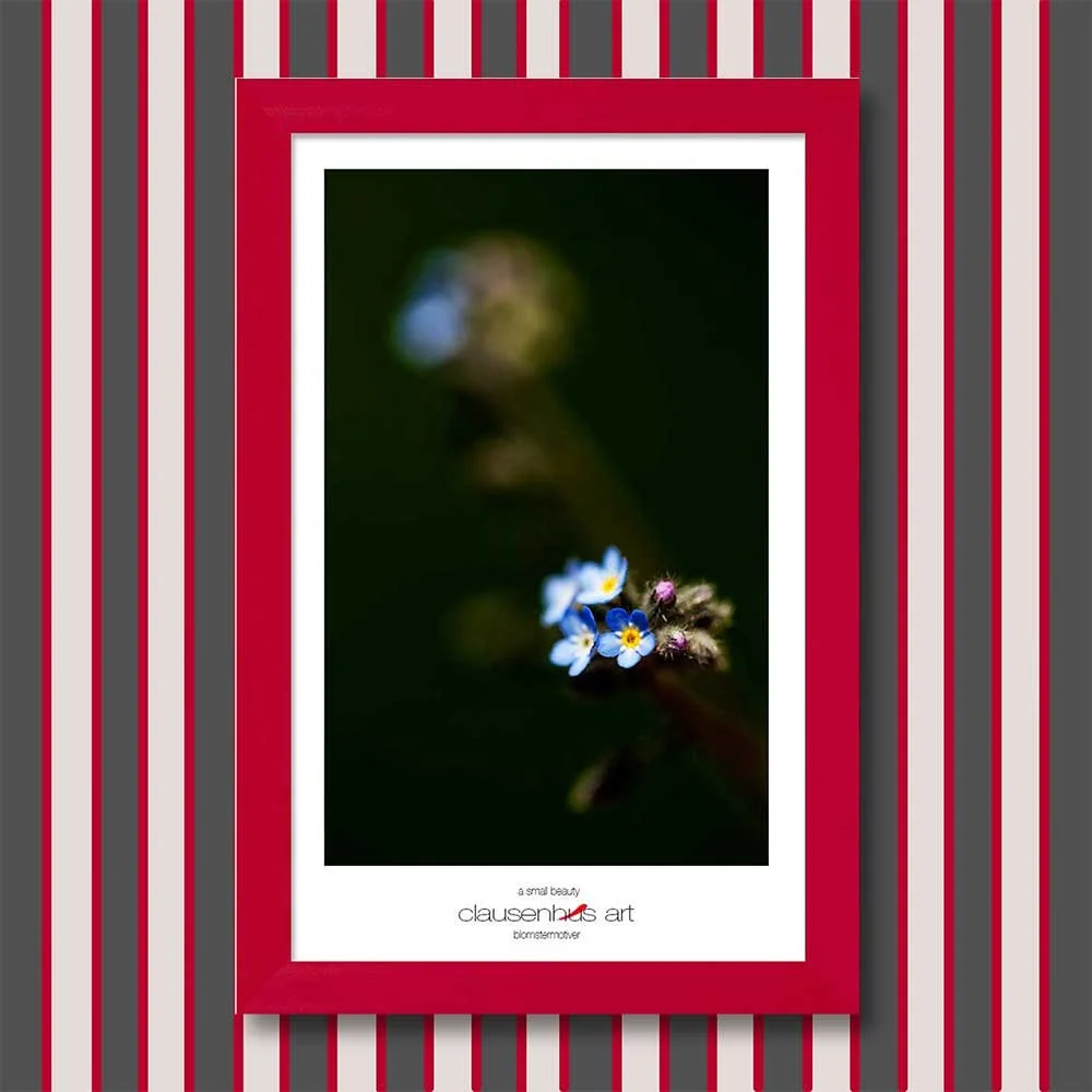 a-small-beauty-copy.jpg