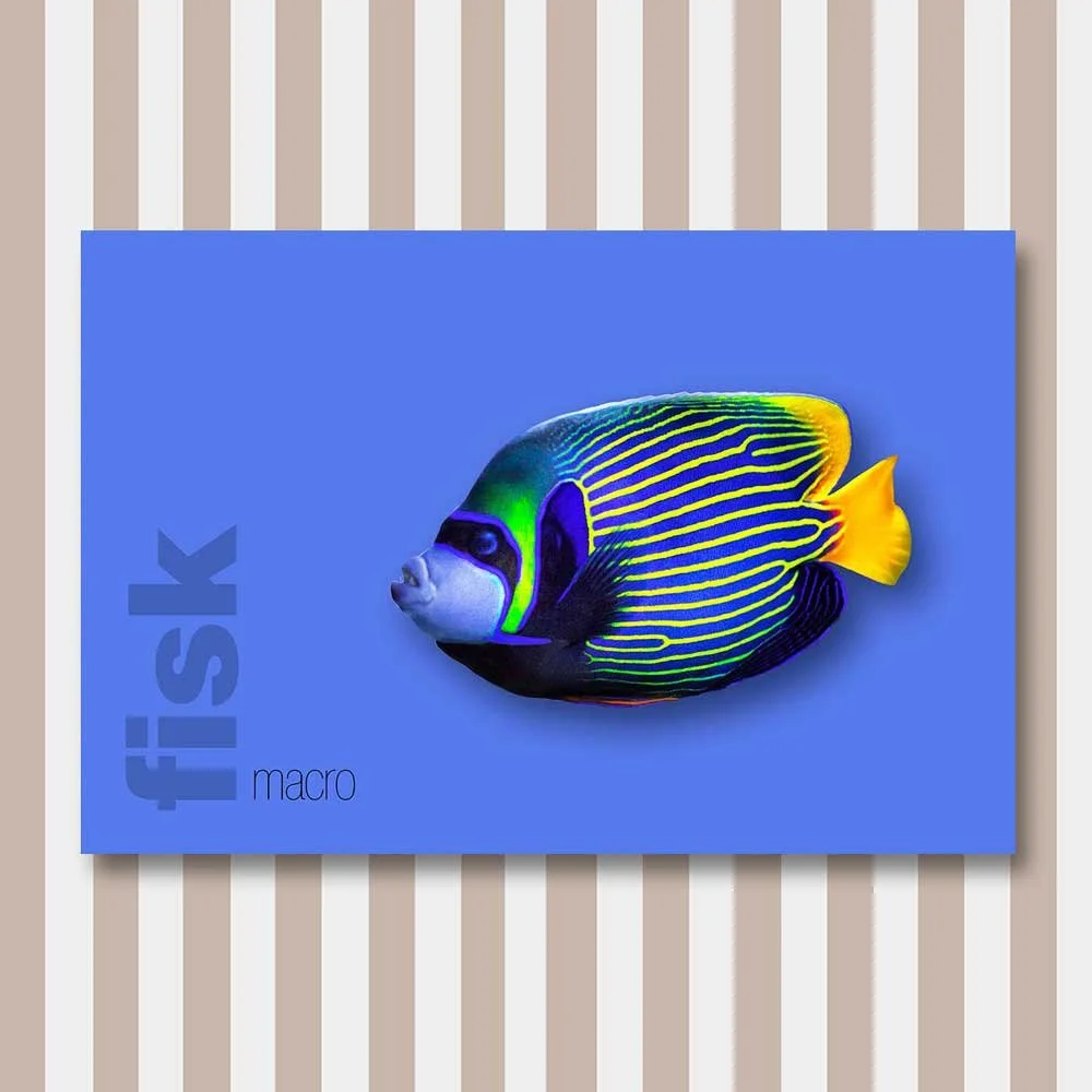 fisk 6.jpg