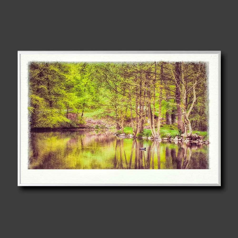spring-pond-copy.jpg