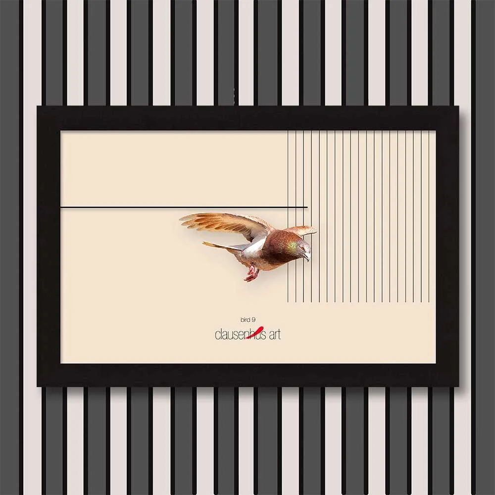 bird-9-copy.jpg