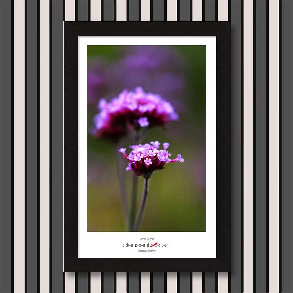 small-purple-copy.jpg