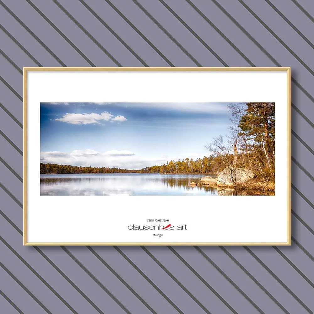 calm-forest-lake-copy.jpg