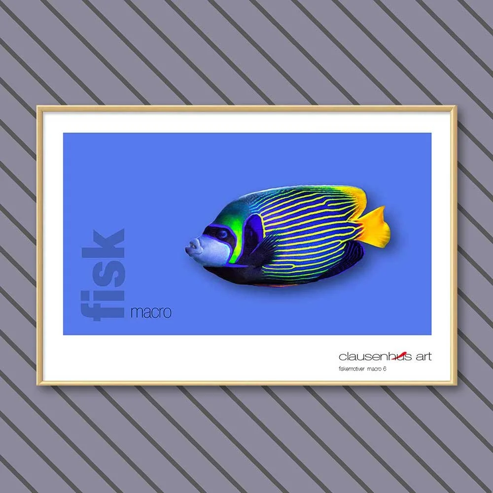 fiskemotiv-6-copy.jpg