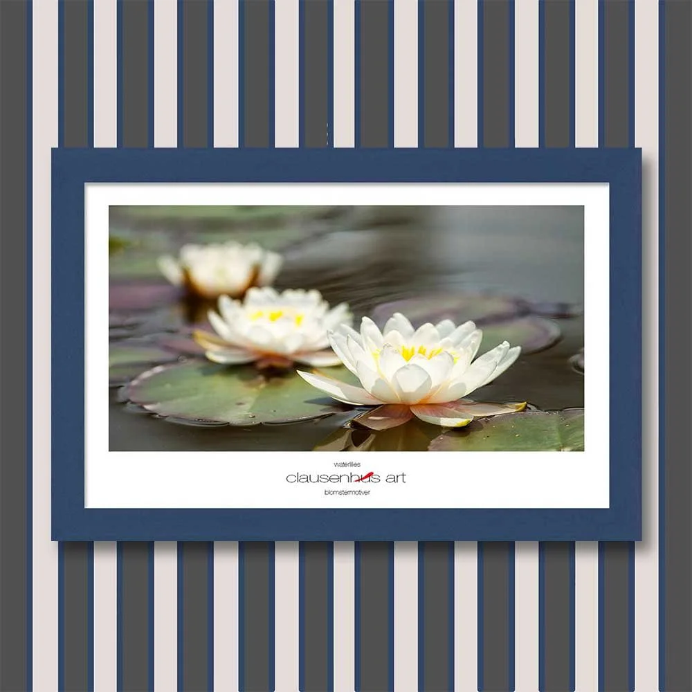 waterlilies-copy.jpg