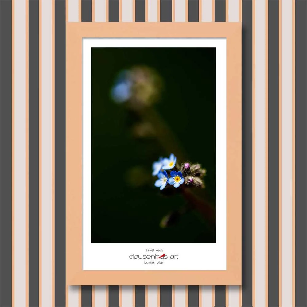 a-small-beauty-copy.jpg