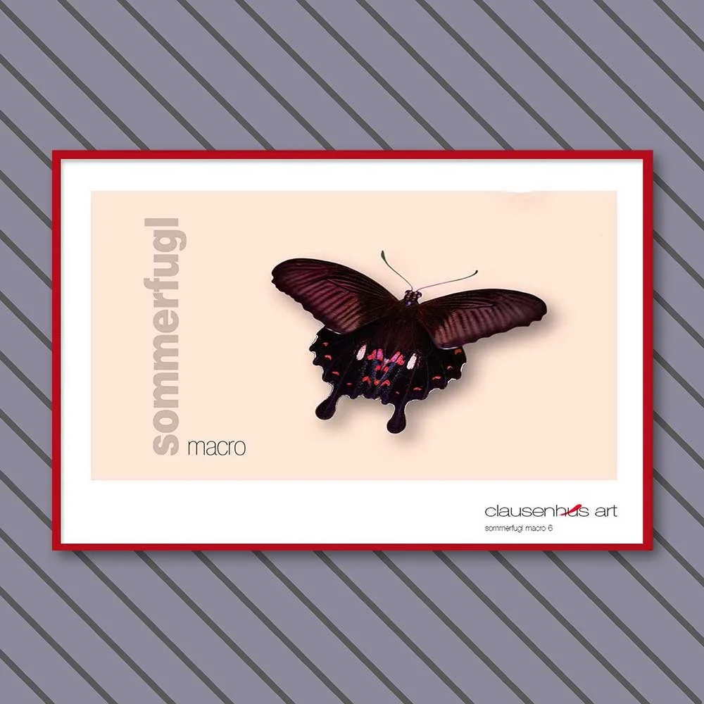 sommerfugl-6-copy.jpg