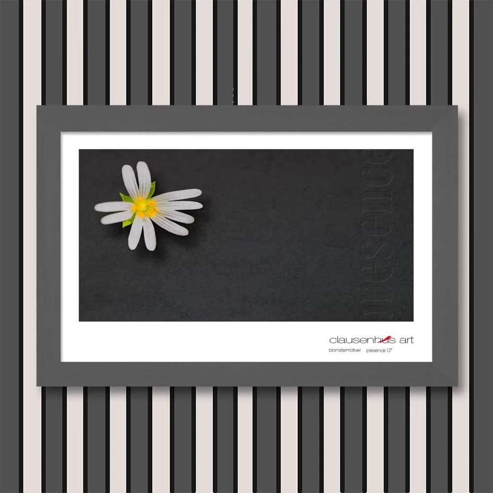 presence-07.jpg