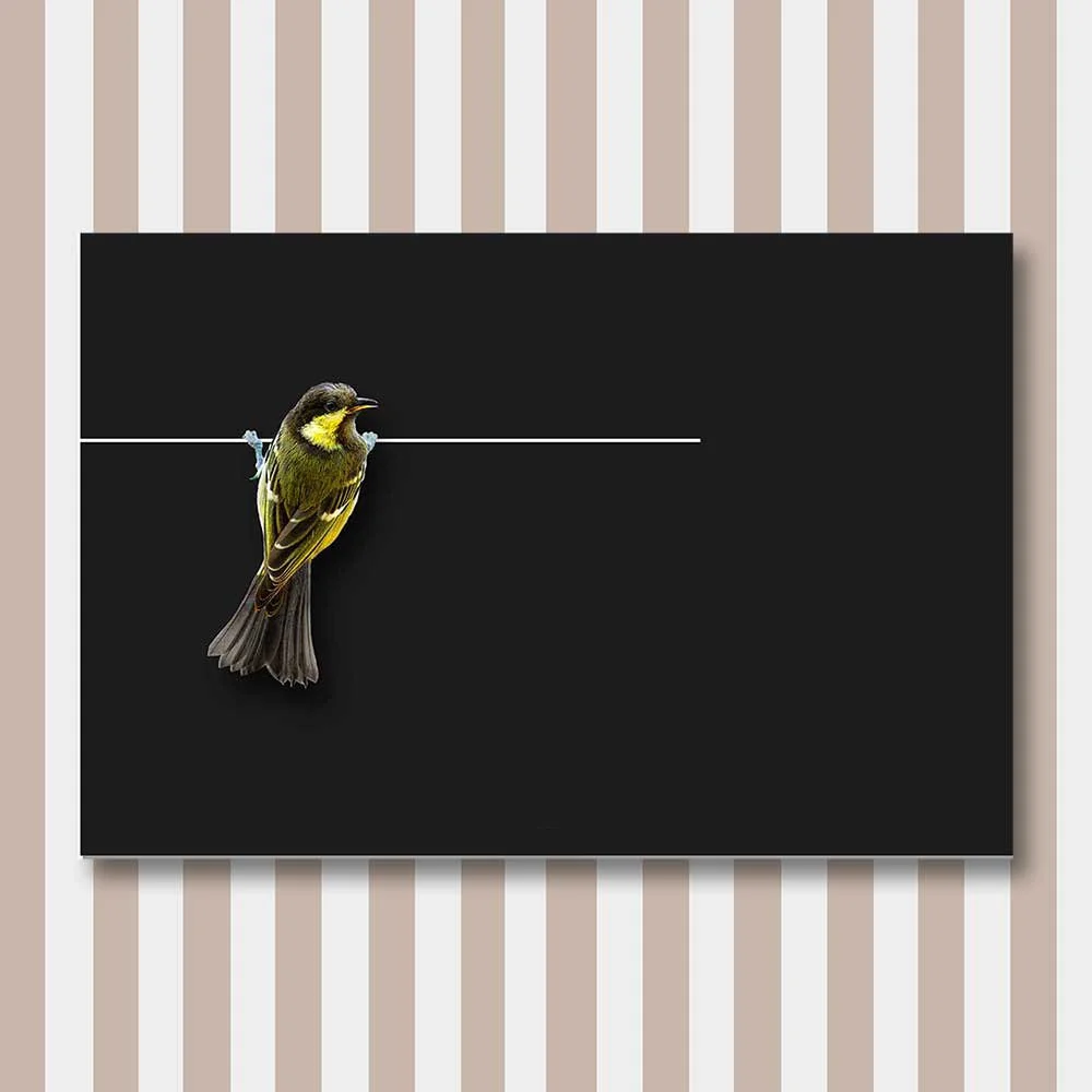 bird 2.jpg