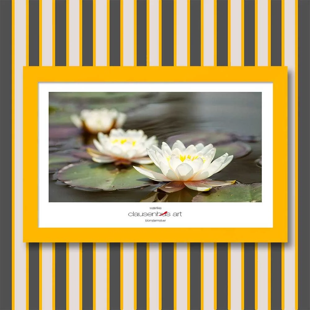 waterlilies-copy.jpg