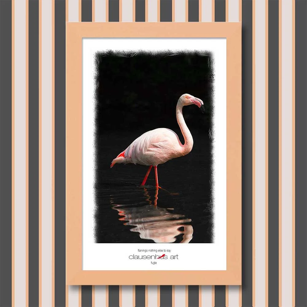 flamingo-nothing-else-to-say.jpg