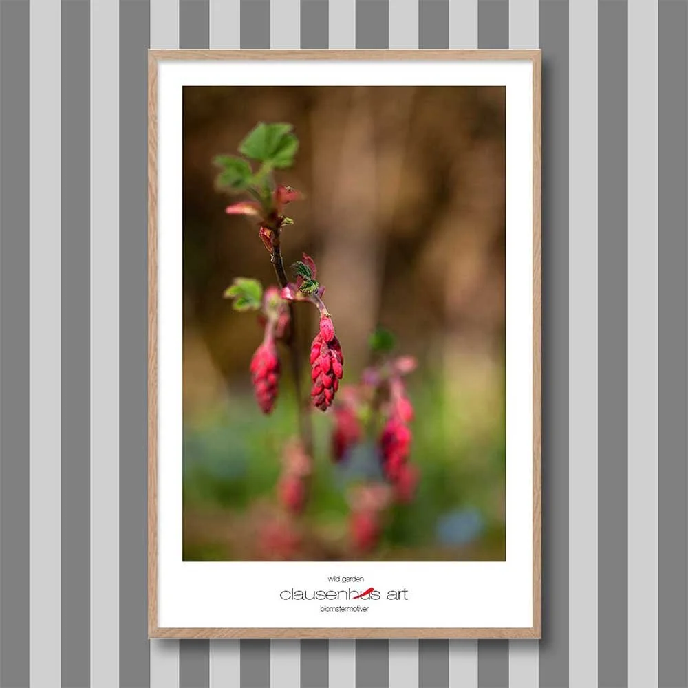 wild-garden-copy.jpg