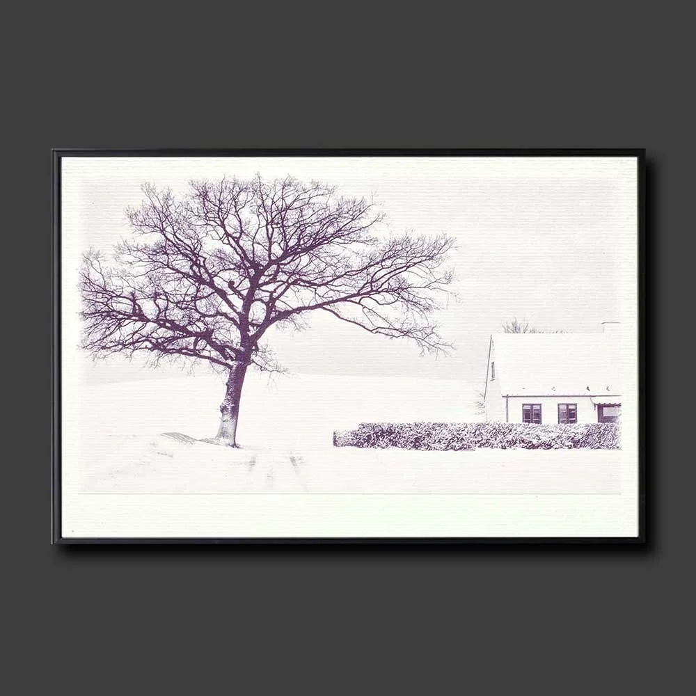 white-season-copy.jpg