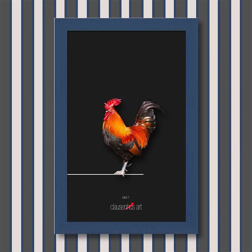 bird-1-copy.jpg