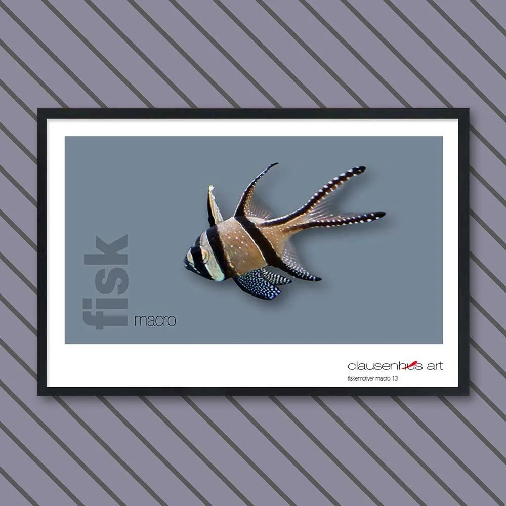 fiskemotiv-13.jpg