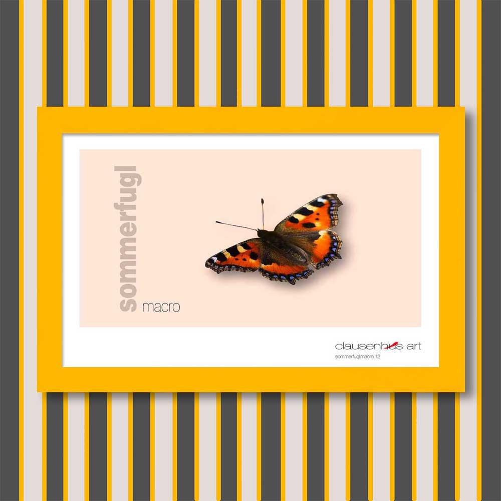 sommerfugl-12.jpg