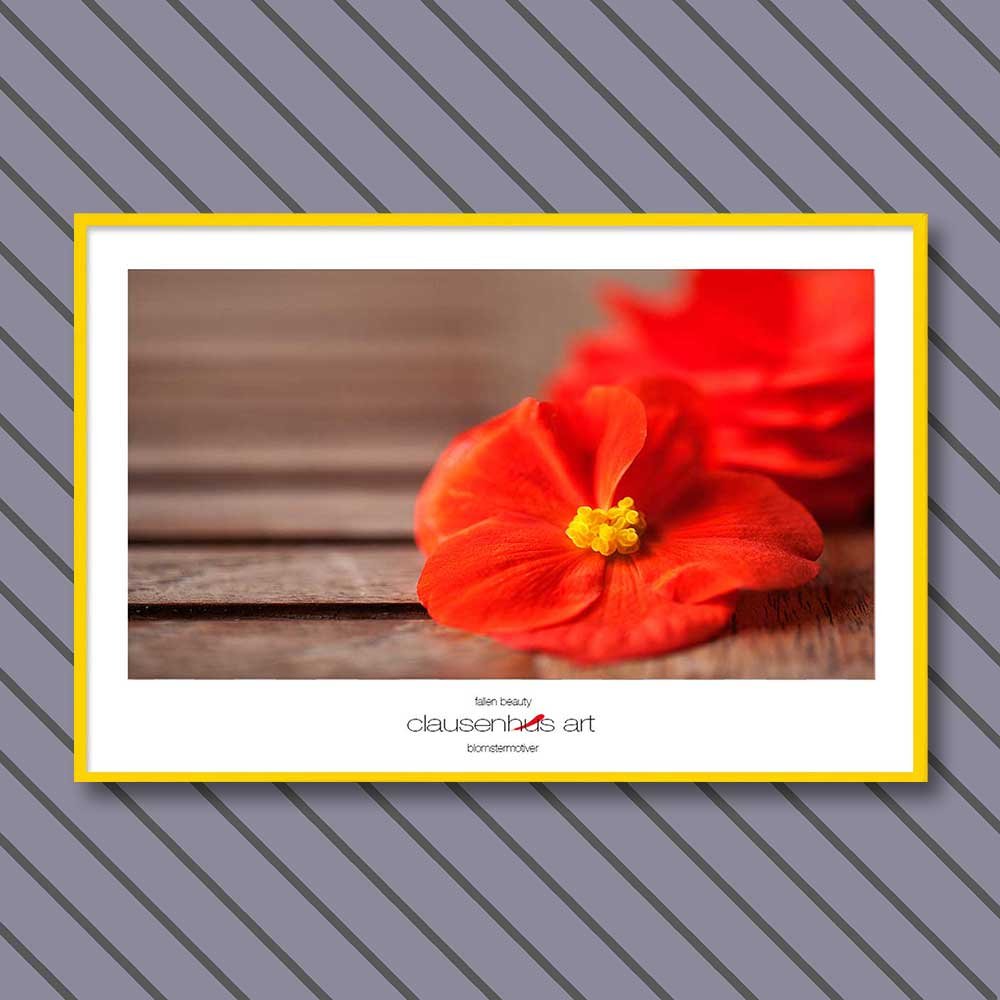 fallen-beauty-copy.jpg