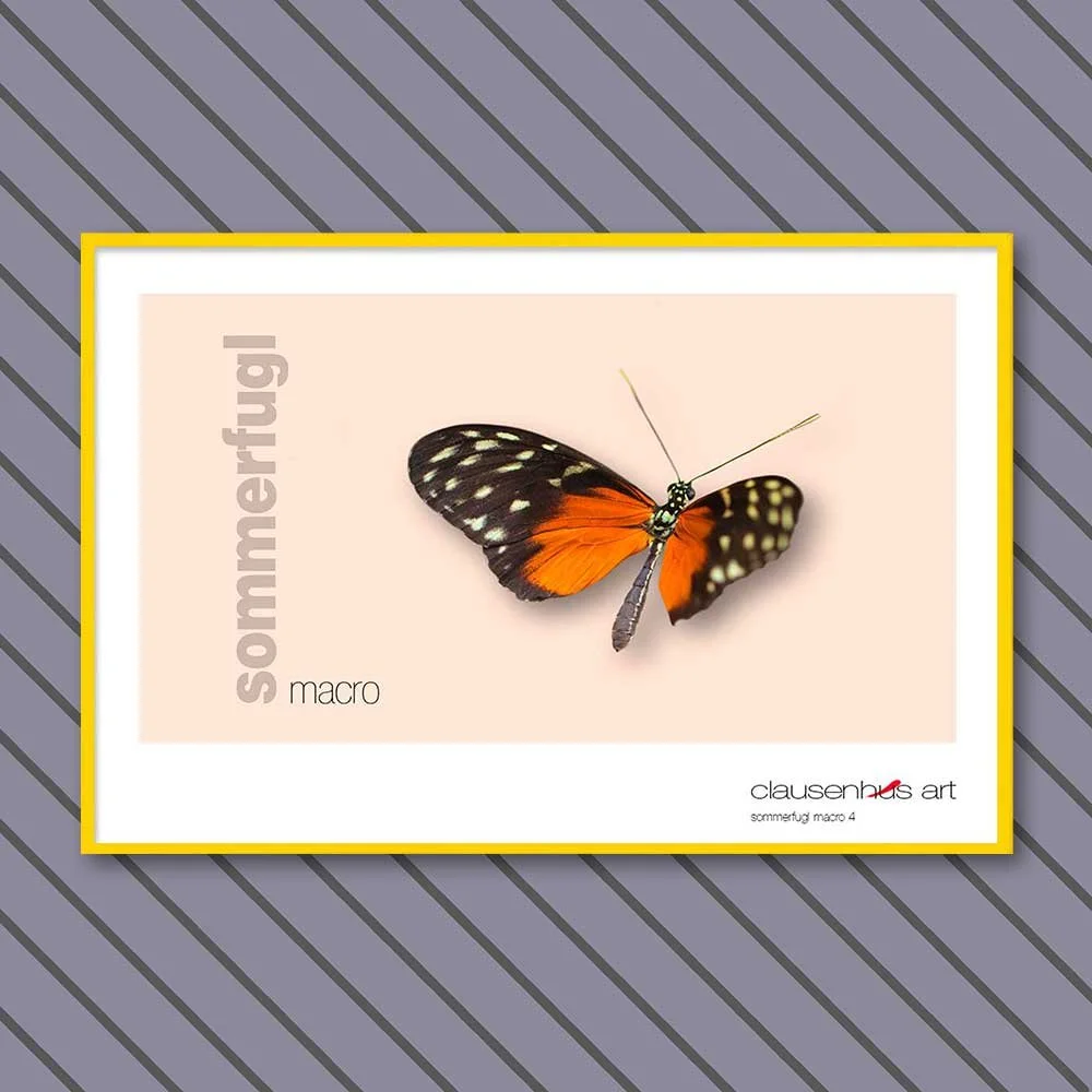 sommerfugl-4-copy.jpg