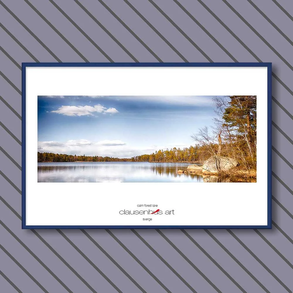 calm-forest-lake-copy.jpg