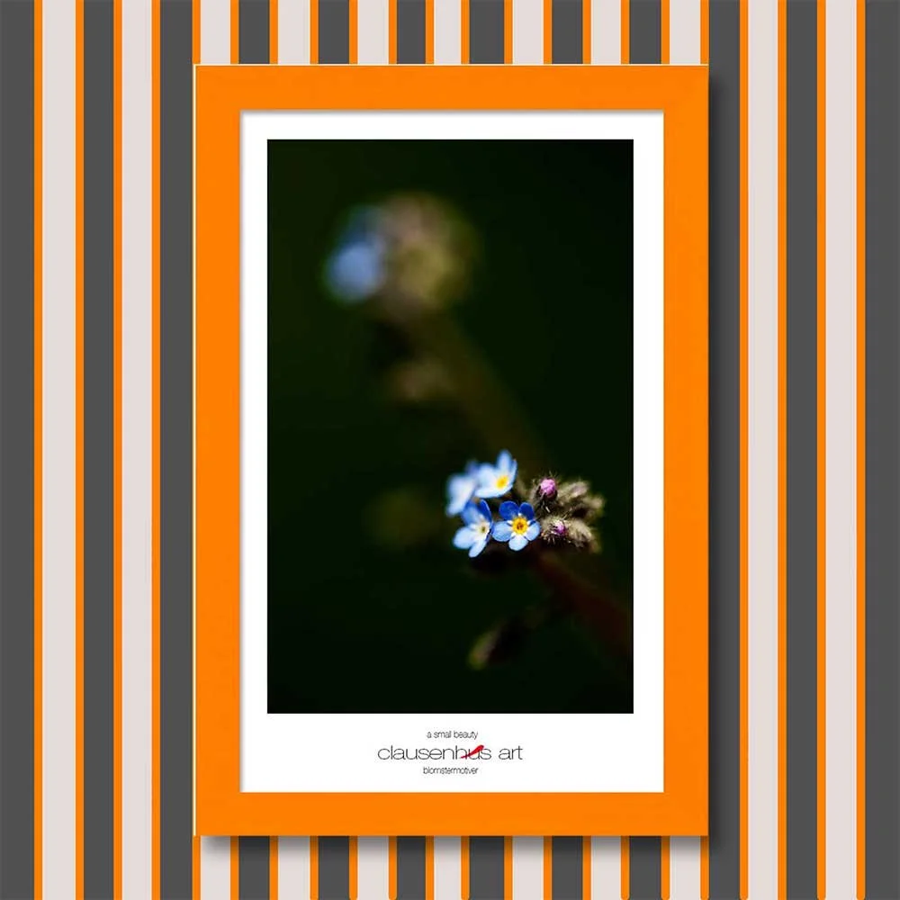 a-small-beauty-copy.jpg