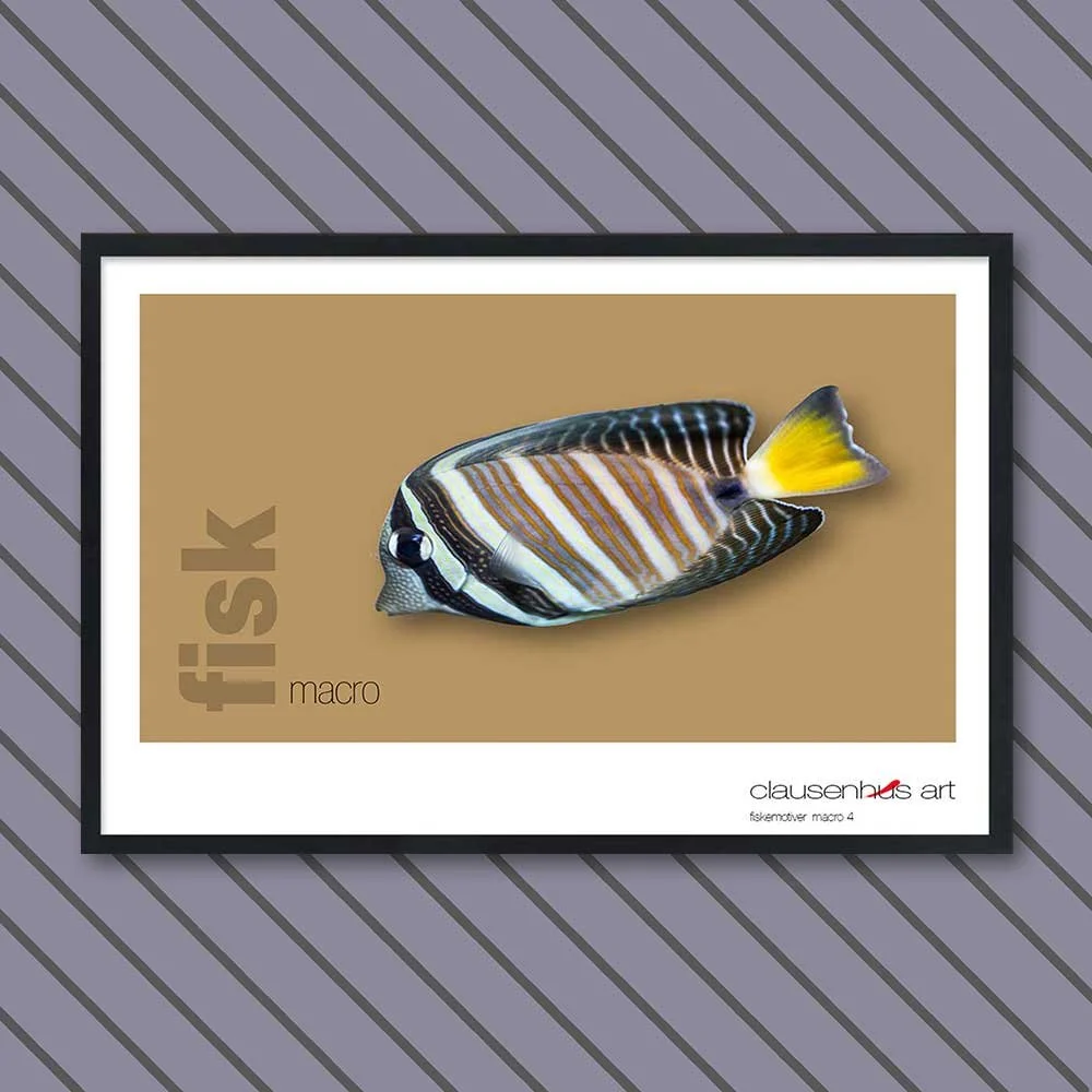 fiskemotiv-4-copy.jpg