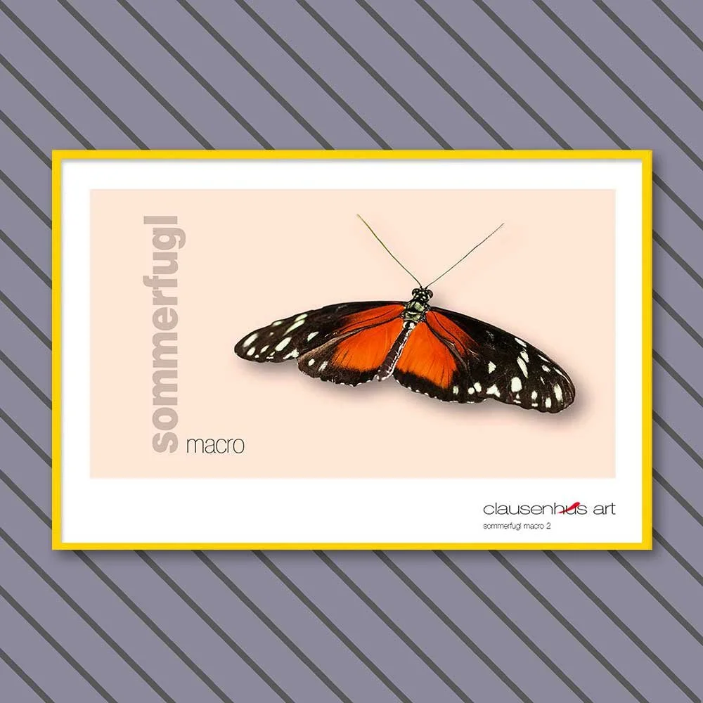 sommerfugl-2-copy.jpg